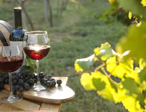 Σεμινάριο – Junior Wine Academy